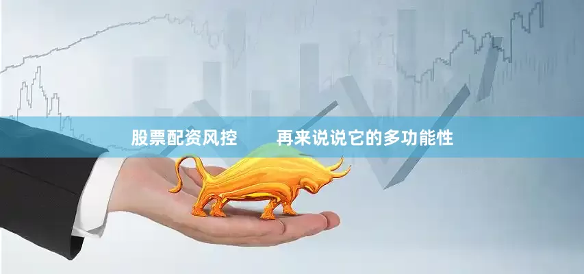 股票配资风控        再来说说它的多功能性